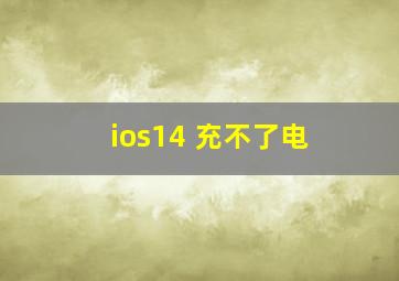 ios14 充不了电